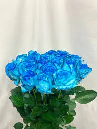 Mawar Warna Buatan (Celup)