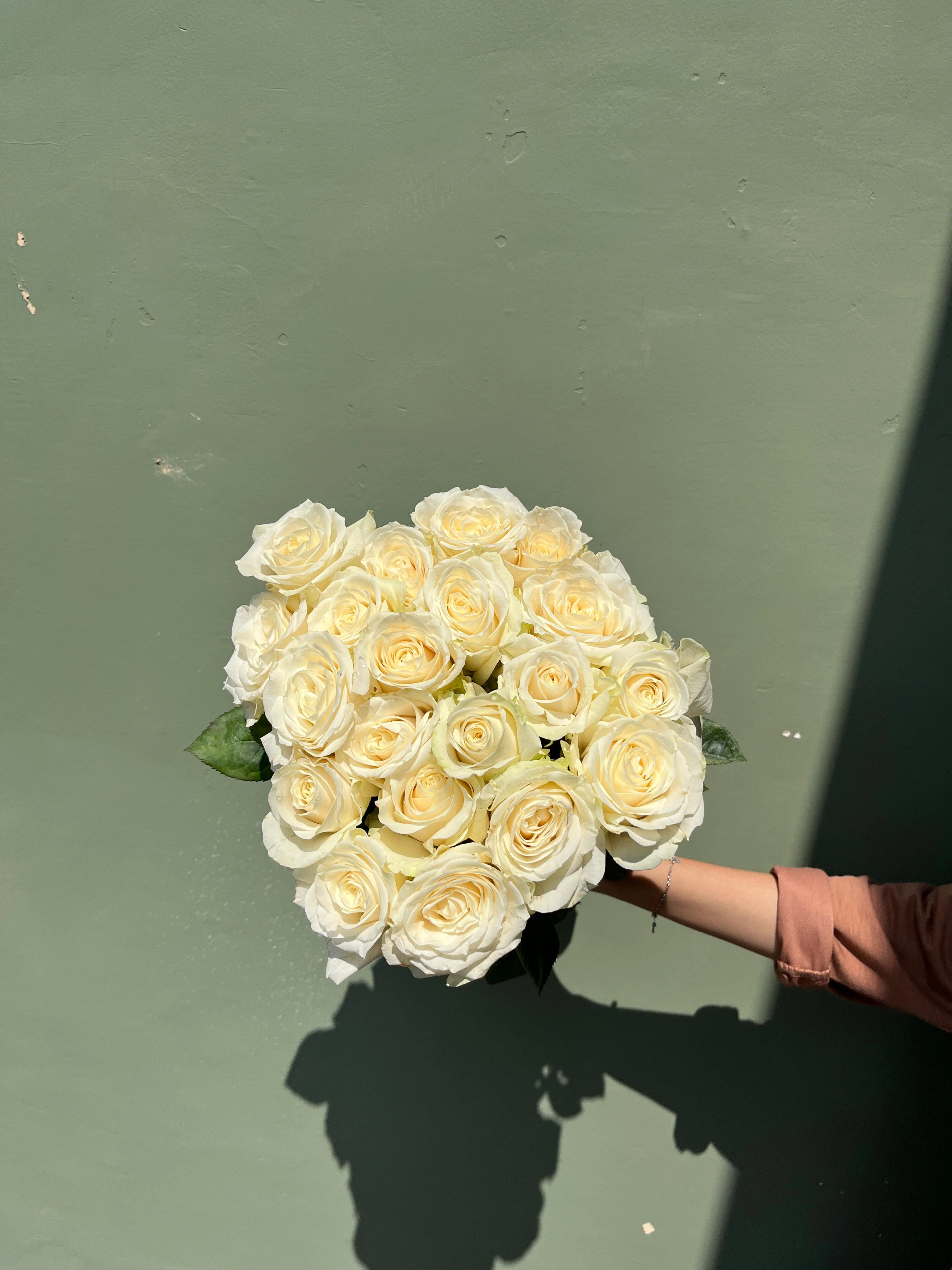 Mawar Putih Hollan Grade A