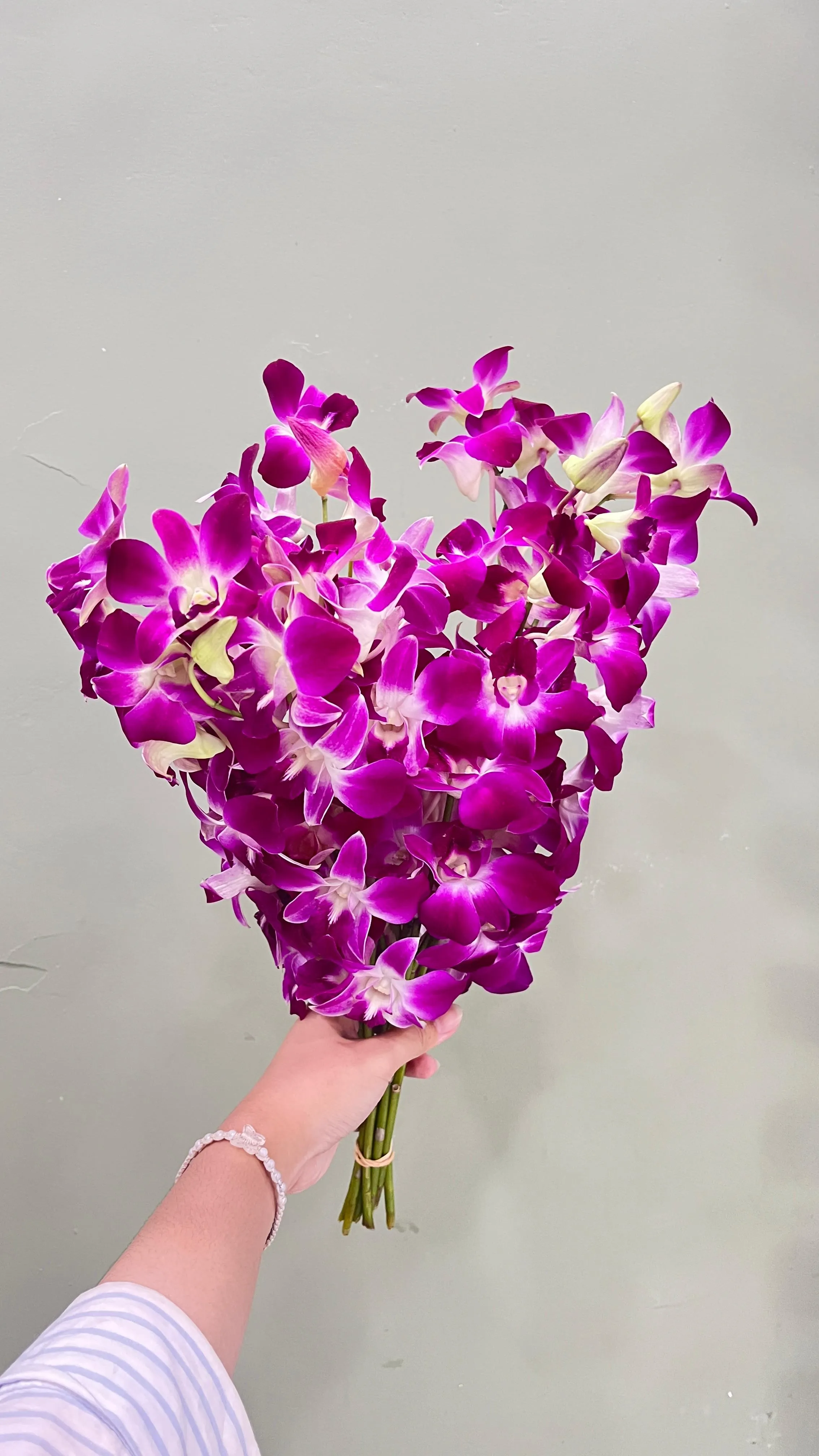 Anggrek Vanda (ungu)